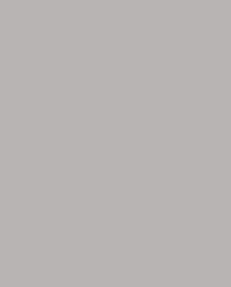professional-img-03